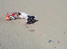 Looks like it may need some fixin'