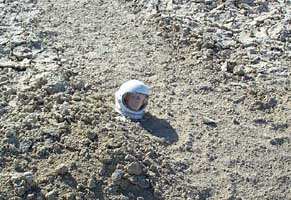 The horror, the horror