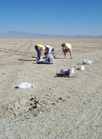 What a great ground crew